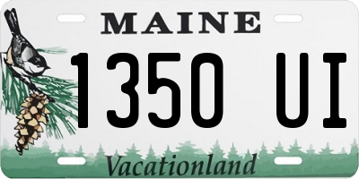 ME license plate 1350UI