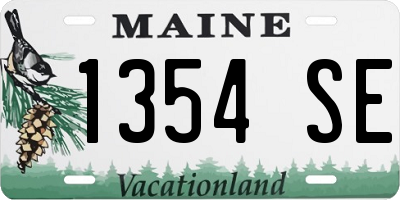 ME license plate 1354SE