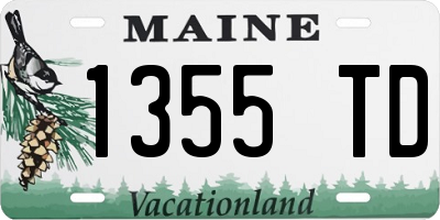 ME license plate 1355TD