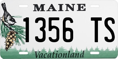 ME license plate 1356TS