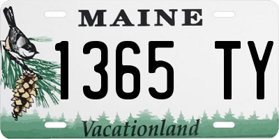 ME license plate 1365TY
