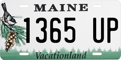 ME license plate 1365UP