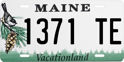 ME license plate 1371TE