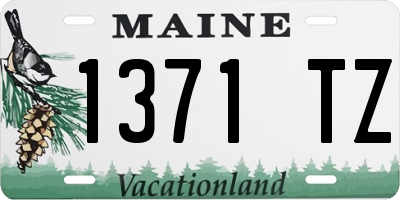 ME license plate 1371TZ