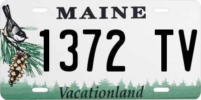 ME license plate 1372TV