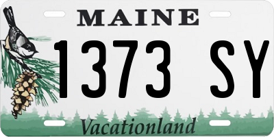 ME license plate 1373SY