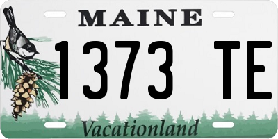 ME license plate 1373TE