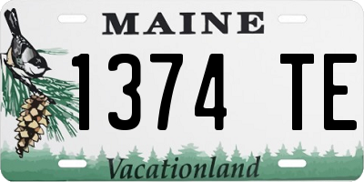 ME license plate 1374TE