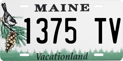 ME license plate 1375TV