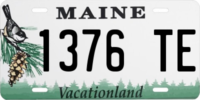 ME license plate 1376TE