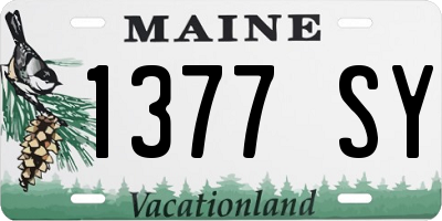 ME license plate 1377SY