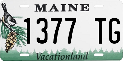 ME license plate 1377TG