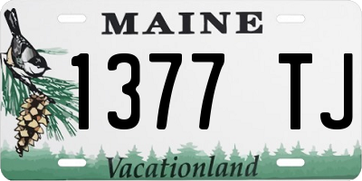 ME license plate 1377TJ
