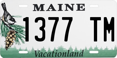 ME license plate 1377TM