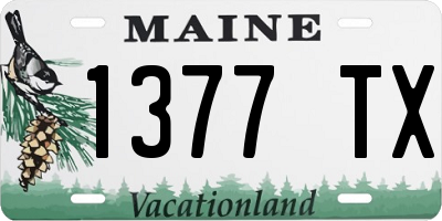 ME license plate 1377TX