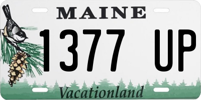 ME license plate 1377UP