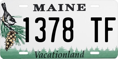 ME license plate 1378TF