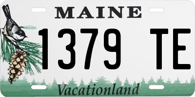 ME license plate 1379TE