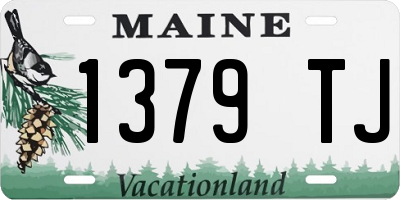 ME license plate 1379TJ