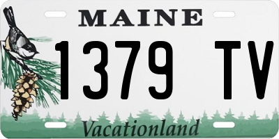 ME license plate 1379TV