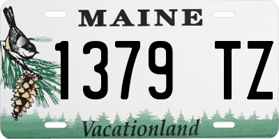 ME license plate 1379TZ