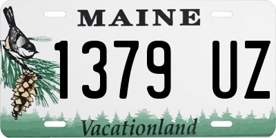 ME license plate 1379UZ