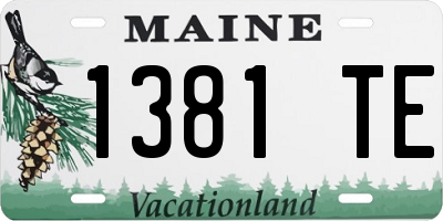 ME license plate 1381TE