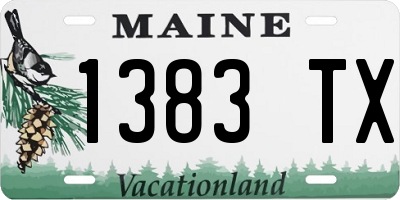 ME license plate 1383TX