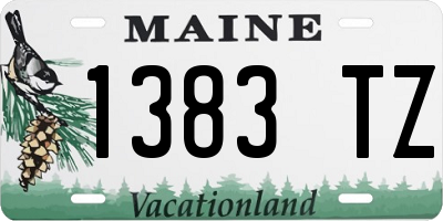 ME license plate 1383TZ