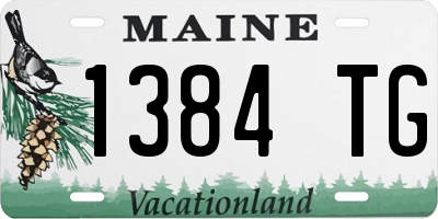 ME license plate 1384TG