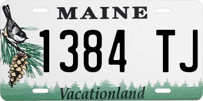 ME license plate 1384TJ
