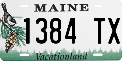 ME license plate 1384TX