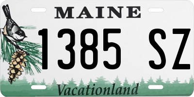 ME license plate 1385SZ