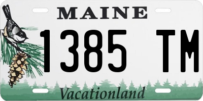 ME license plate 1385TM