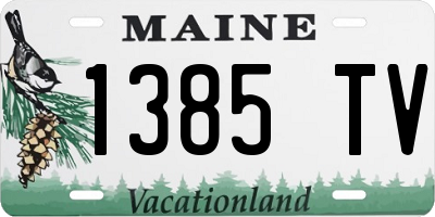 ME license plate 1385TV