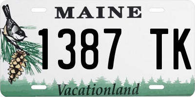 ME license plate 1387TK