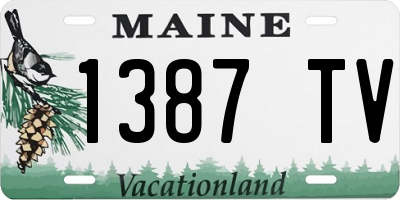 ME license plate 1387TV
