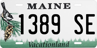 ME license plate 1389SE
