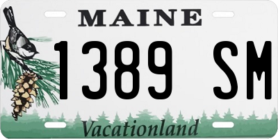 ME license plate 1389SM