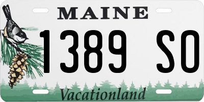 ME license plate 1389SO