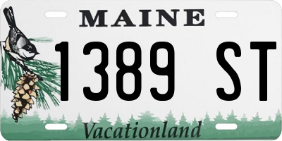 ME license plate 1389ST