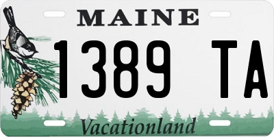 ME license plate 1389TA