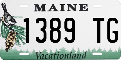 ME license plate 1389TG