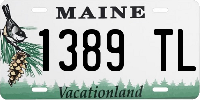 ME license plate 1389TL