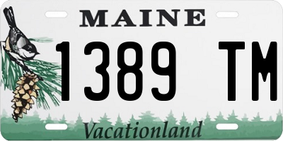 ME license plate 1389TM