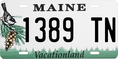 ME license plate 1389TN
