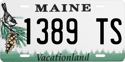 ME license plate 1389TS