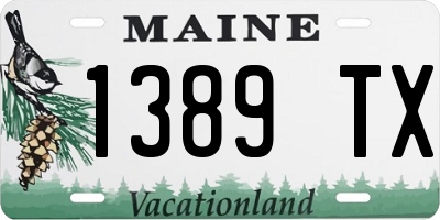 ME license plate 1389TX