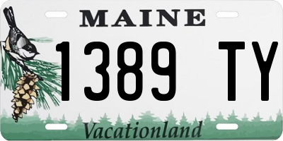 ME license plate 1389TY