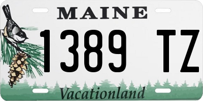 ME license plate 1389TZ